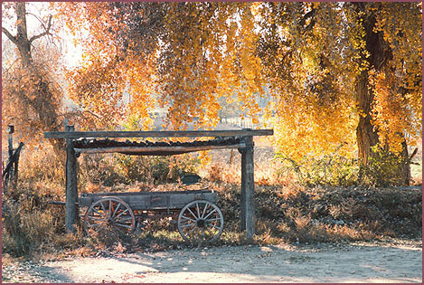 Old Wagon, color photograph by Woody Glloway, Santa Fe, NM