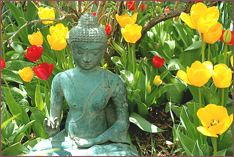 Resting Buddha, color photograph by Woody Glloway, Santa Fe, NM