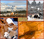 Gallery of New mexico landscape, wildlife and architecture photos by Woody Galloway, Santa Fe, New Mexico
